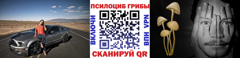 купить наркоту  Черепаново  Галлюциногенные грибы мицелий 